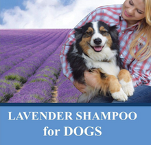 Load image into Gallery viewer, Lavender Shampoo for Dogs with 100% pure Lavender